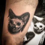 lunderskin-maisonclosetatouage-chat